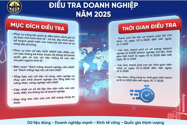 Điều tra doanh nghiệp năm 2025 được thực hiện từ ngày 1/4/2025
