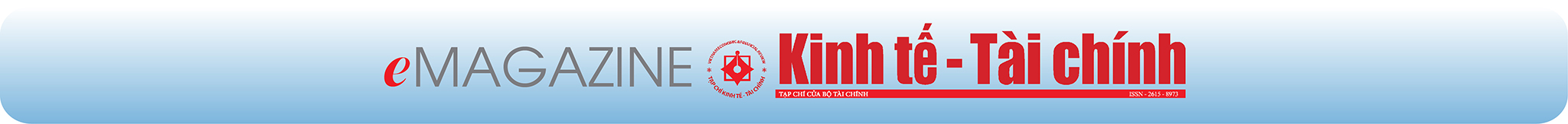 EMAGAZINE: Mô hình chính quyền hai cấp giúp tăng tính linh hoạt trong điều hành ngân sách - Ảnh 4