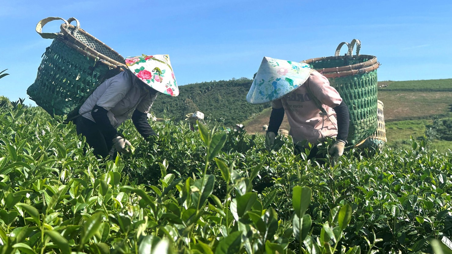 Chuyển đổi mô hình, đời sống người lao động được nâng cao.