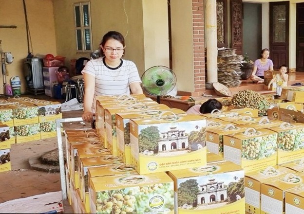 HTX Nông nghiệp Xanh Phố Hiến, tỉnh Hưng Yên đóng gói nhãn quả tươi xuất bán cho khách hàng