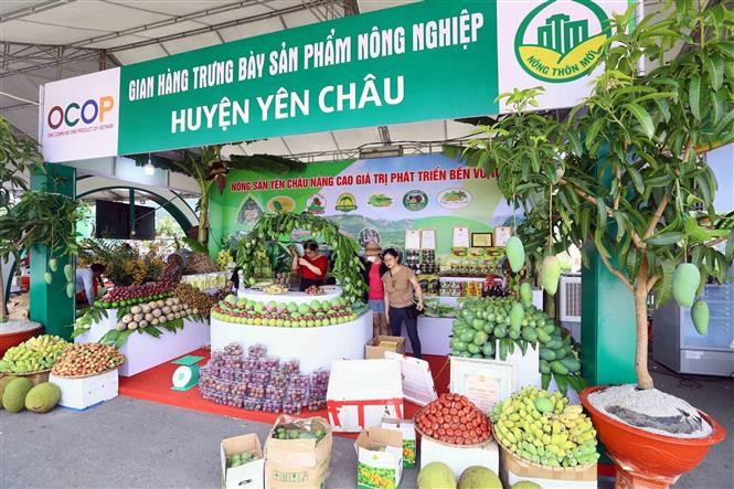 OCOP trước làn sóng tiêu dùng xanh: Thách thức hay cơ hội bứt phá?