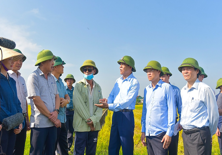 Đồng chí Võ Trọng Hải, Chủ tịch UBND tỉnh Hà Tĩnh và đoàn công tác kiểm tra mô hình lúa chất lượng cao tại HTX Thương mại dịch vụ nông nghiệp Hạ Vàng (xã Can Lộc).