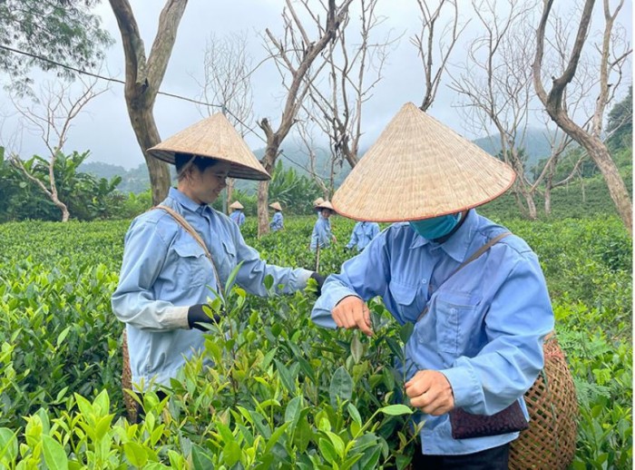 Điện Biên hướng tới giảm nghèo bền vững, nâng cao chất lượng cuộc sống