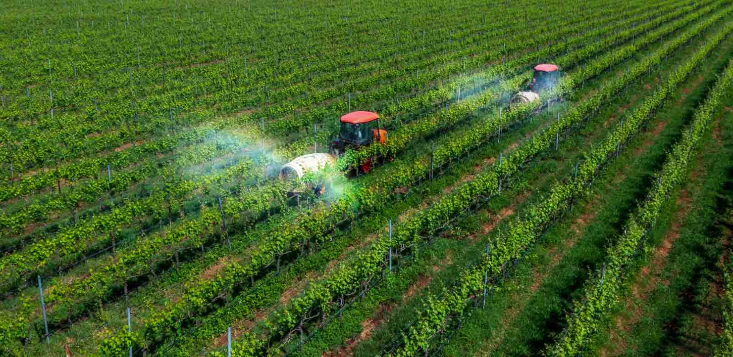 Đến năm 2050, Việt Nam trở thành một trong những nước có nền nông nghiệp hàng đầu thế giới với ngành công nghiệp chế biến nông sản hiện đại, hiệu quả, thân thiện với môi trường.