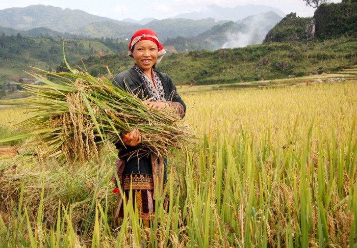 Giảm nghèo bền vững - Nền tảng cho phát triển bao trùm, công bằng và thịnh vượng
