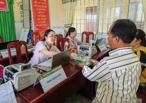 Tín dụng chính sách giúp đồng bào Khmer ở Cà Mau thoát nghèo bền vững