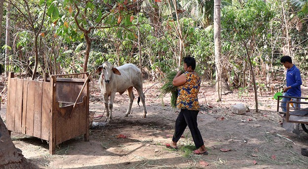 An Giang tập trung mọi nguồn lực chăm lo cho người nghèo
