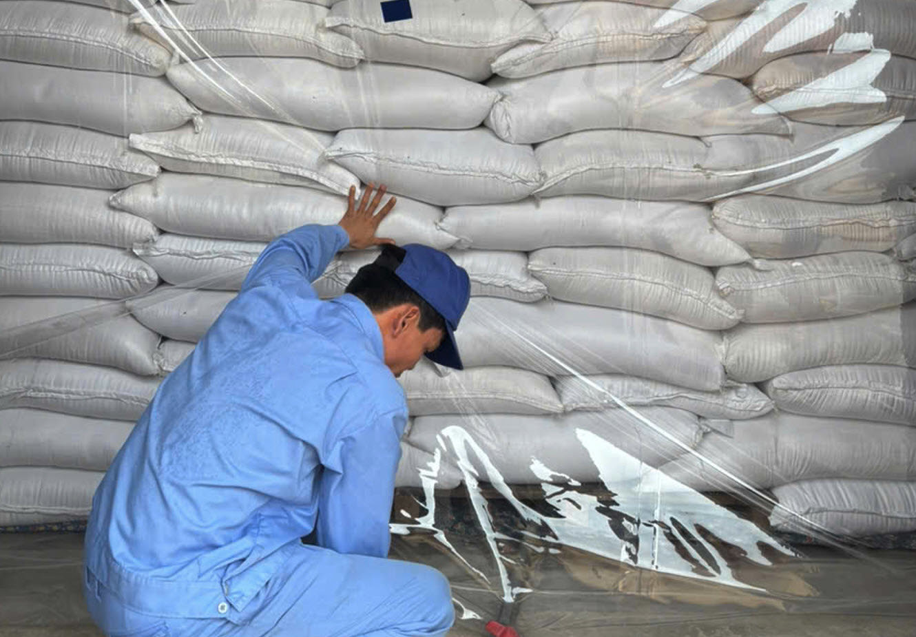 Các mặt hàng có quy chuẩn kỹ thuật bảo quản tương tự nhau có thể được bảo quản trong cùng kho dự trữ.