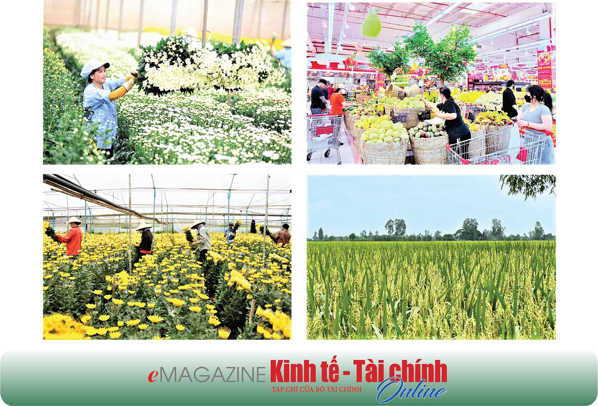 EMAGAZINE: Chuyển đổi số trong nông nghiệp, nông dân, nông thôn là đột phá để nông nghiệp Việt Nam vươn mình - Ảnh 9