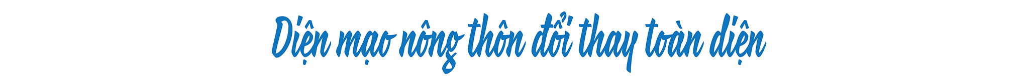 EMAGAZINE: Thành phố Hải Phòng: Khẳng định vị thế tiên phong trong xây dựng nông thôn mới nâng cao, kiểu mẫu - Ảnh 4