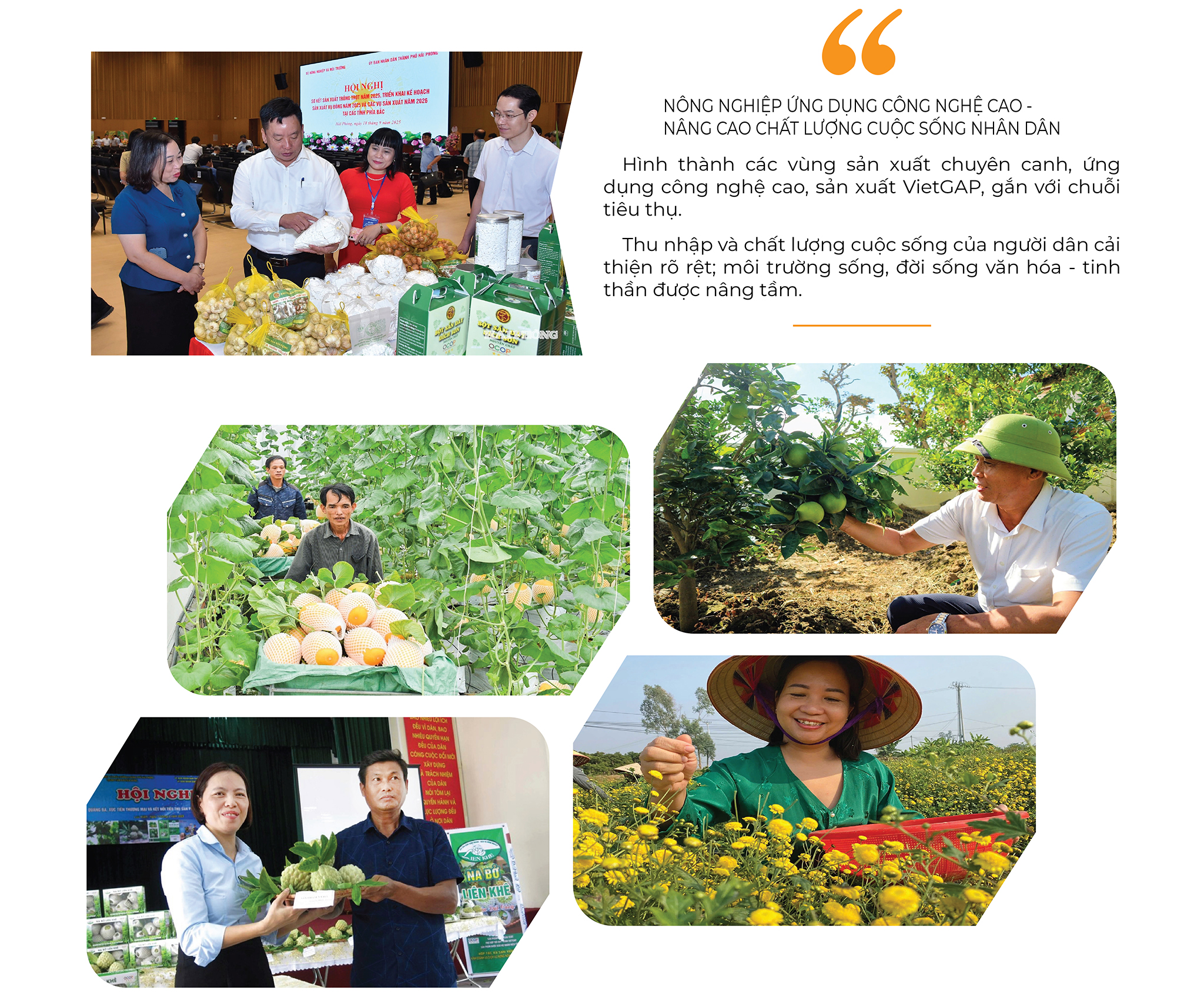 EMAGAZINE: Thành phố Hải Phòng: Khẳng định vị thế tiên phong trong xây dựng nông thôn mới nâng cao, kiểu mẫu - Ảnh 10