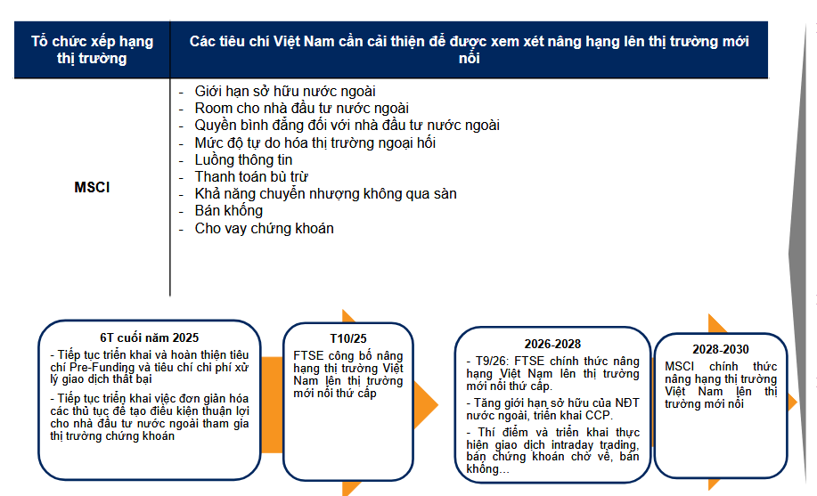 Nguồn: MSI, VNDIECT Research