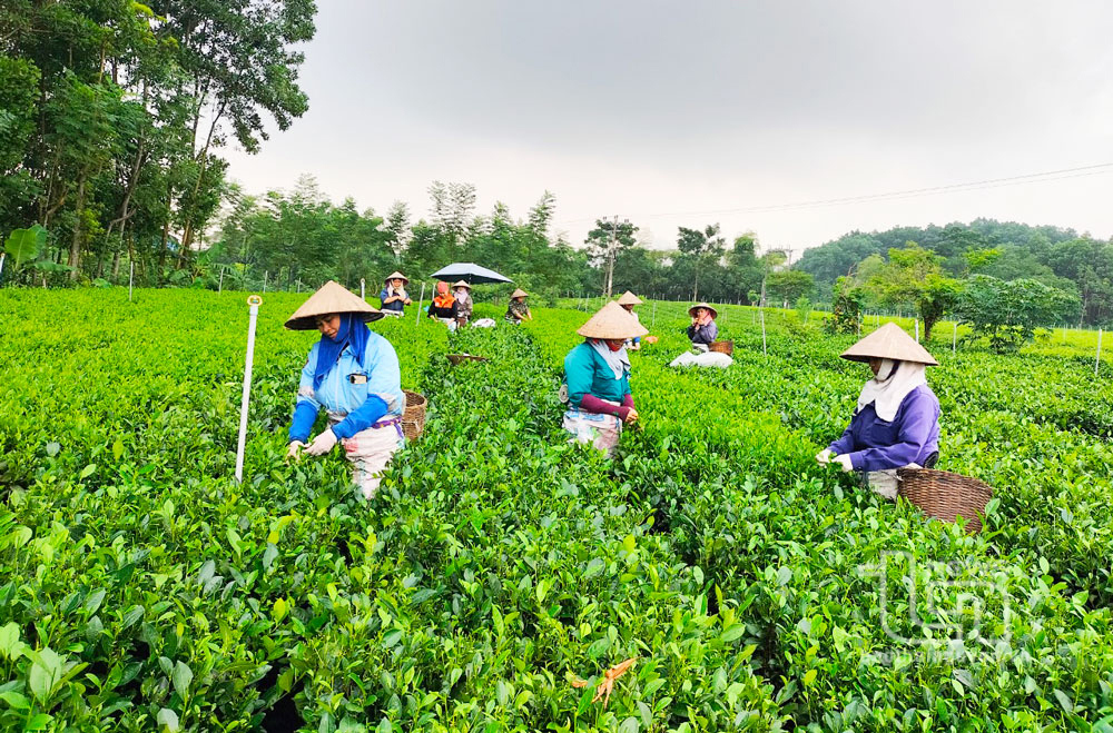 Chương trình mục tiêu giảm nghèo bền vững giai đoạn tiếp theo cần tập trung vào các định hướng cốt lõi.