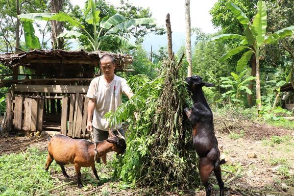 Phú Thọ phấn đấu giảm tỷ lệ hộ nghèo toàn tỉnh xuống còn 2,75% vào cuối năm 2025