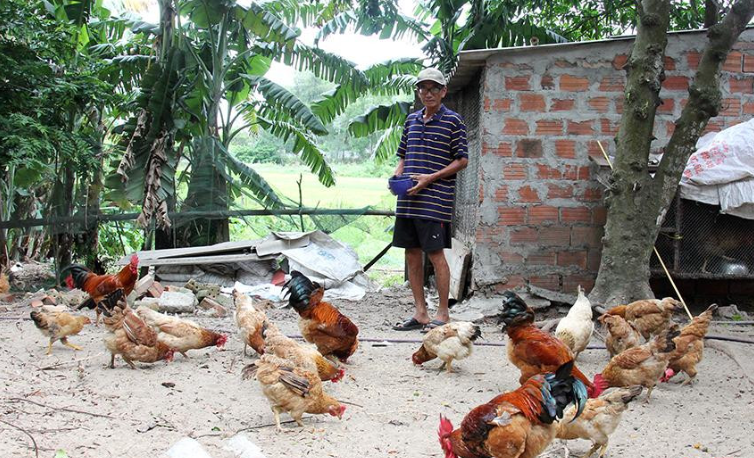 Nhiều mô hình chăn nuôi hiệu quả được phát triển tại Hà Tĩnh.