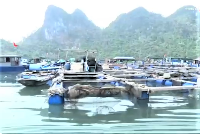 Quảng Ninh điểm sáng trong thu hút đầu tư vào nông nghiệp