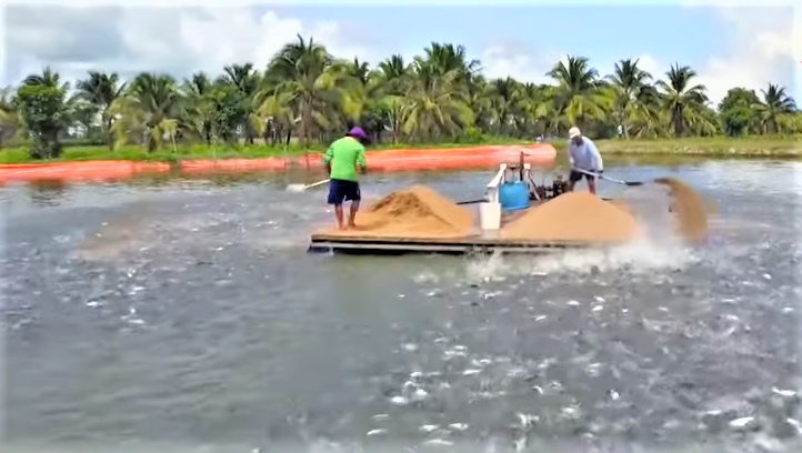 9 tháng đầu năm 2025, tổng sản lượng thủy sản toàn tỉnh đạt mức tăng trưởng ấn tượng