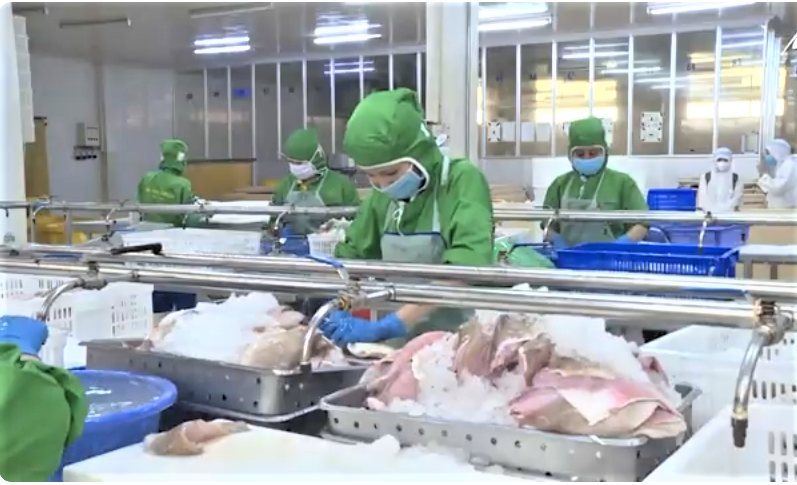 An Giang nâng cao chất lượng chế biến thủy sản