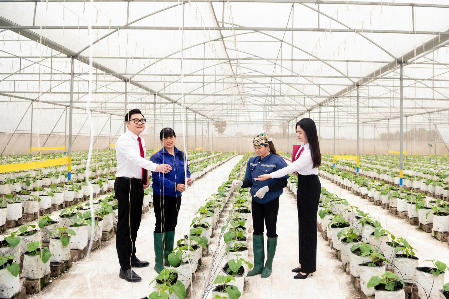 Agribank tăng cường nguồn lực cho khu vực “Tam nông” khẳng định cam kết đồng hành cùng các địa phương trong việc lan tỏa tài chính toàn diện, hướng đến một nền kinh tế bao trùm và phát triển bền vững.