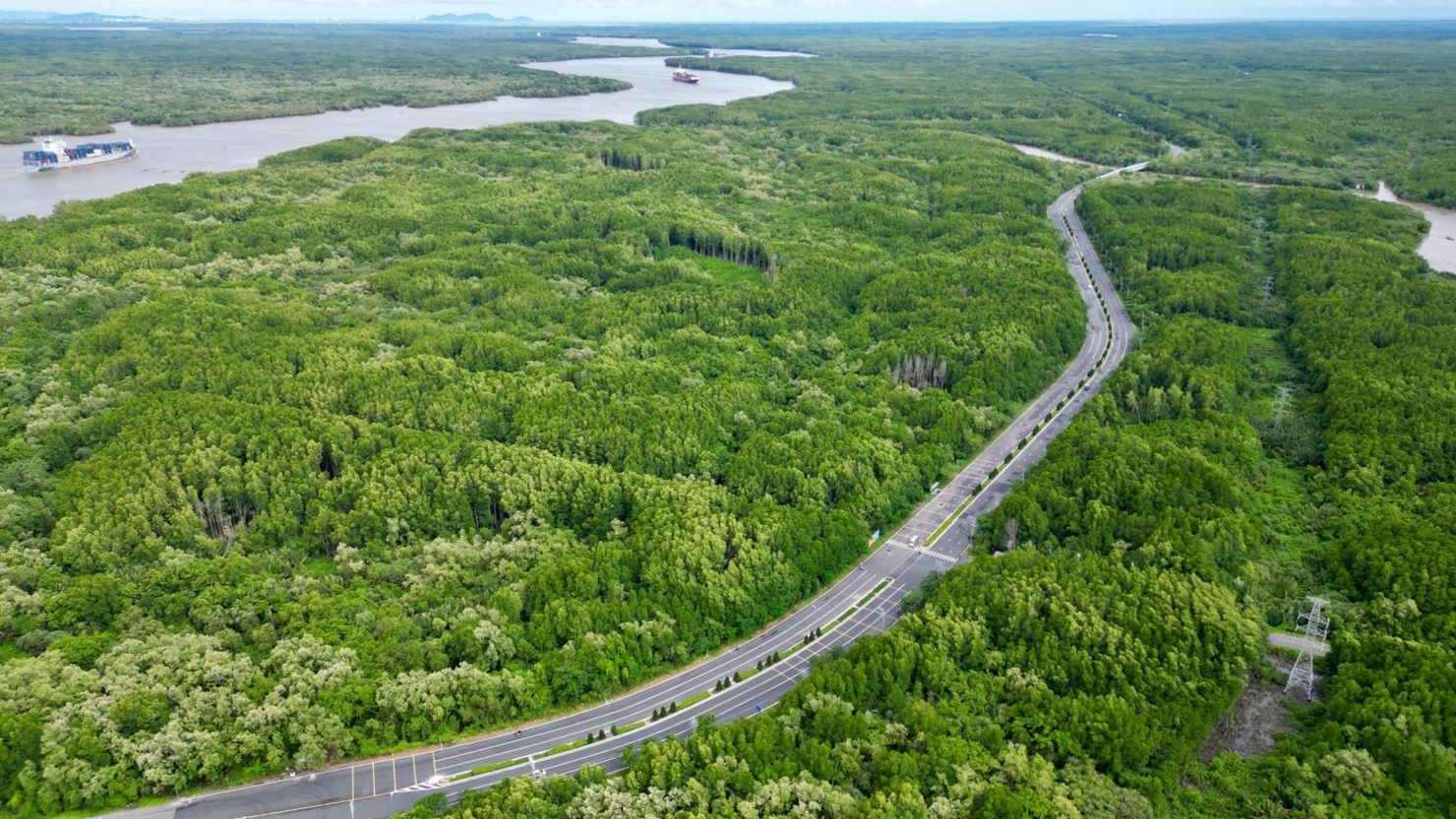 Việt Nam có tỷ lệ che phủ rừng đạt khoảng 42%.