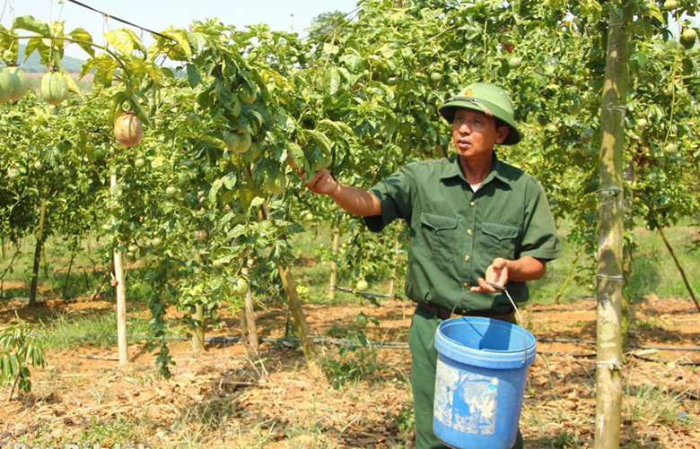 Ông Chu Bá Kỳ (xã Ea Bá) vay vốn tín dụng chính sách để phát triển kinh tế vườn.