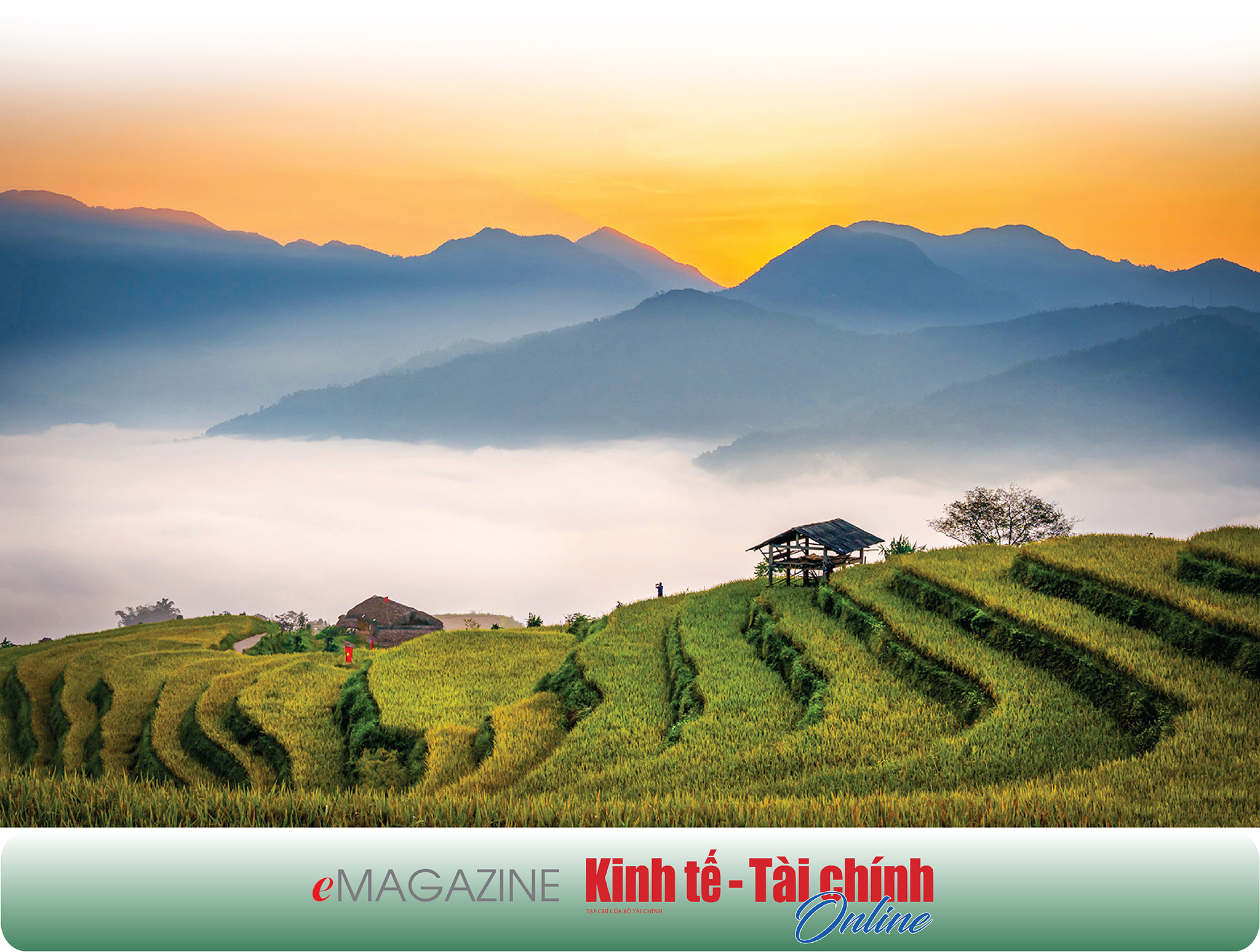 EMAGAZINE: Khi công nghệ là “cần câu số” giúp người nghèo thoát nghèo - Ảnh 10