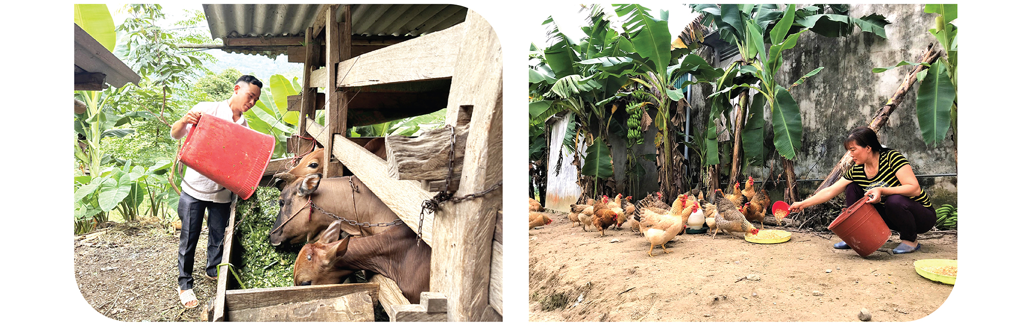 EMAGAZINE: Gương sáng thoát nghèo - Động lực khuyến khích cộng đồng cùng phát triển - Ảnh 5