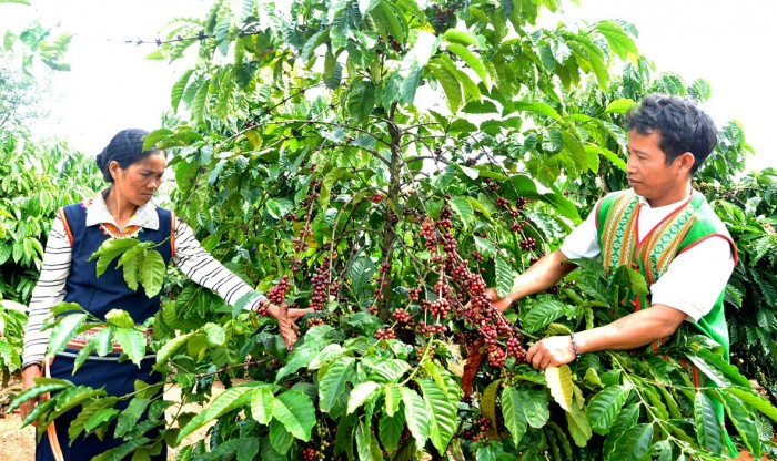 EMAGAZINE: Gương sáng thoát nghèo - Động lực khuyến khích cộng đồng cùng phát triển