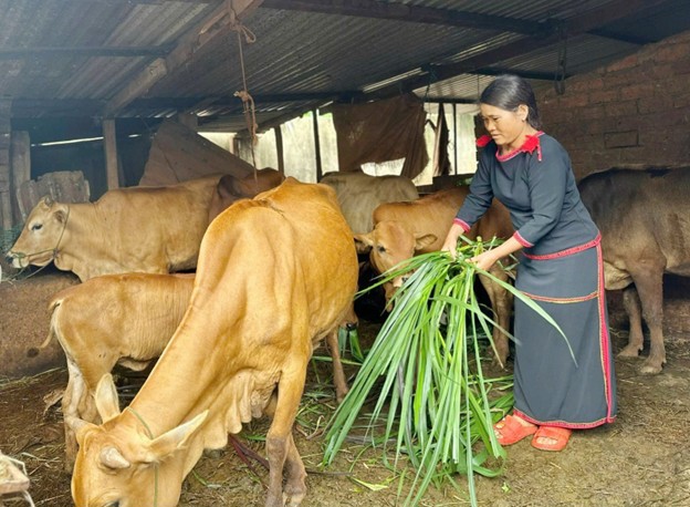 Các chính sách hỗ trợ hộ nghèo, hộ cận nghèo trên địa bàn tỉnh Đắk Lắk đã phát huy hiệu quả tích cực.