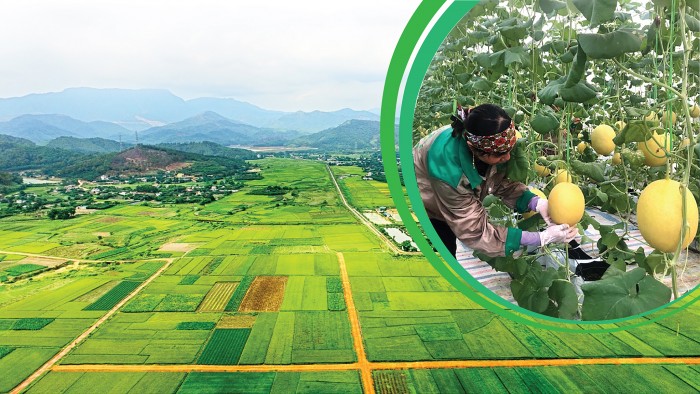 EMAGAZINE: Hướng tới xây dựng nông thôn mới văn minh, hiện đại: Quảng Ninh viết nên một câu chuyện thành công đầy cảm hứng