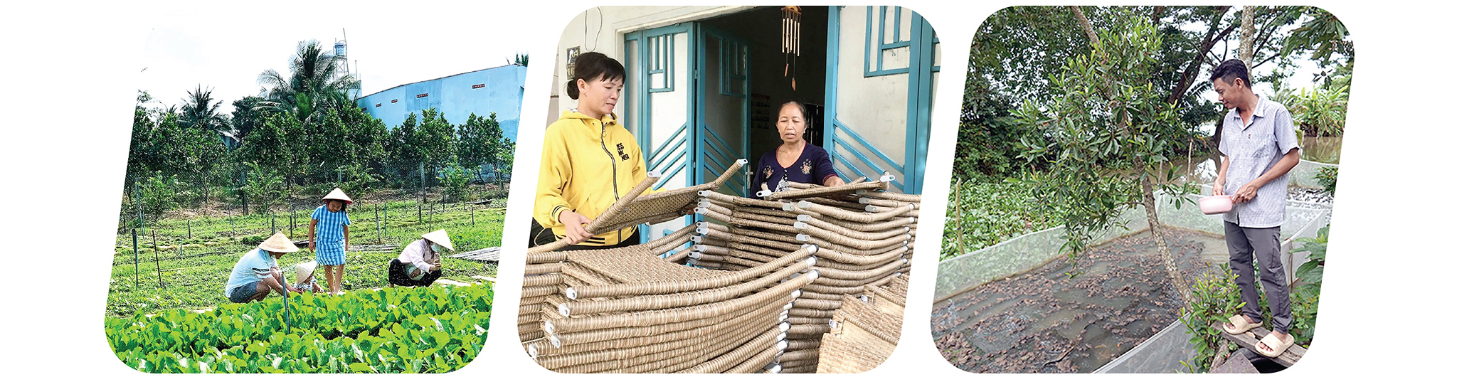 EMAGAZINE: CầnThơ: Chung sức vì mục tiêu giảm nghèo bền vững - Ảnh 7