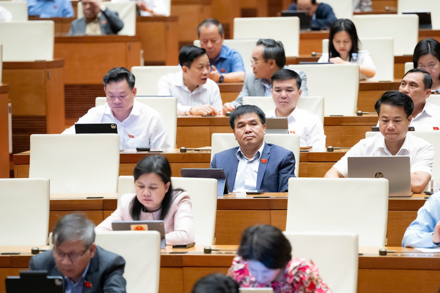 Các đại biểu Quốc hội tại phiên họp.