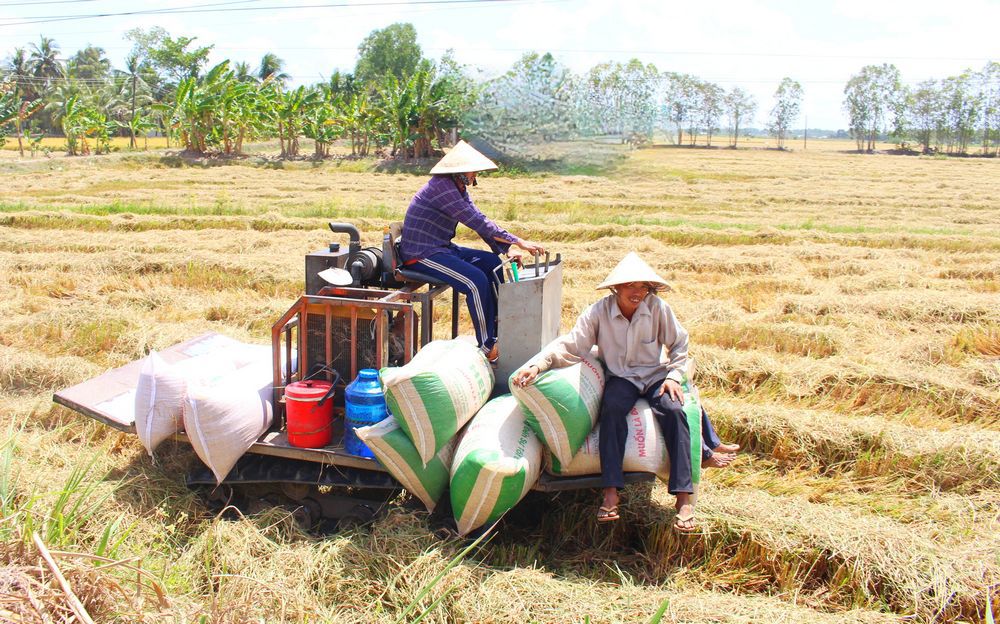Công tác giảm nghèo tại tỉnh Vĩnh Long ghi nhận nhiều chuyển biến tích cực