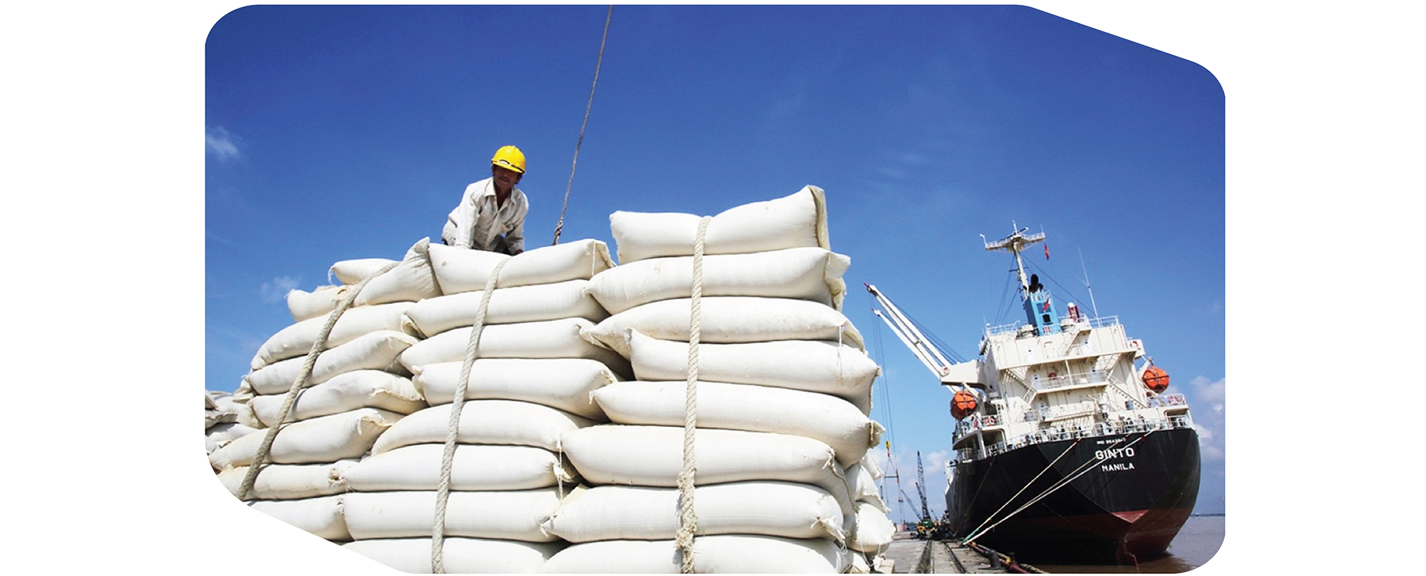 EMAGAZINE: Để thương mại tiếp tục là động lực tăng trưởng của nền kinh tế - Ảnh 6