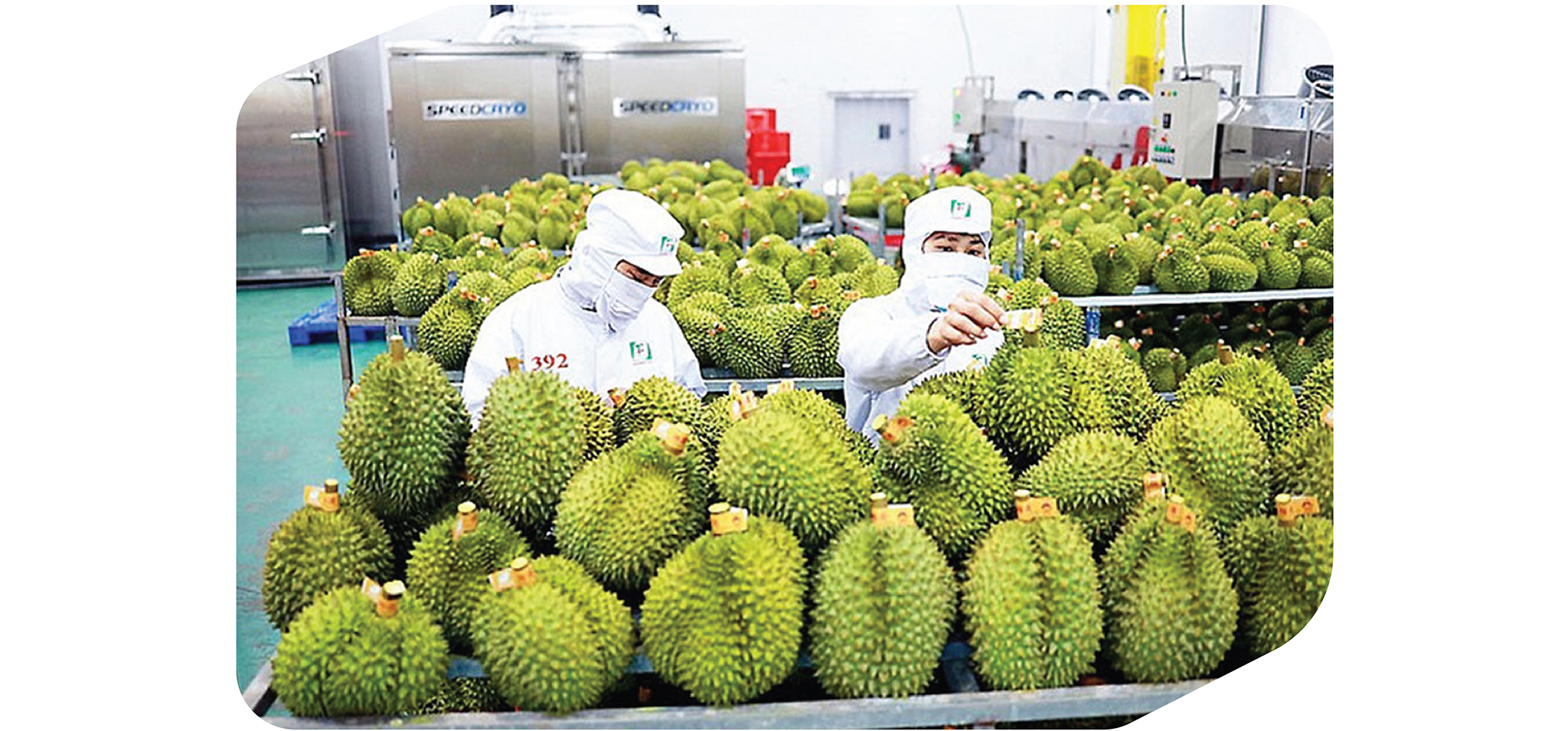 EMAGAZINE: Để thương mại tiếp tục là động lực tăng trưởng của nền kinh tế - Ảnh 8