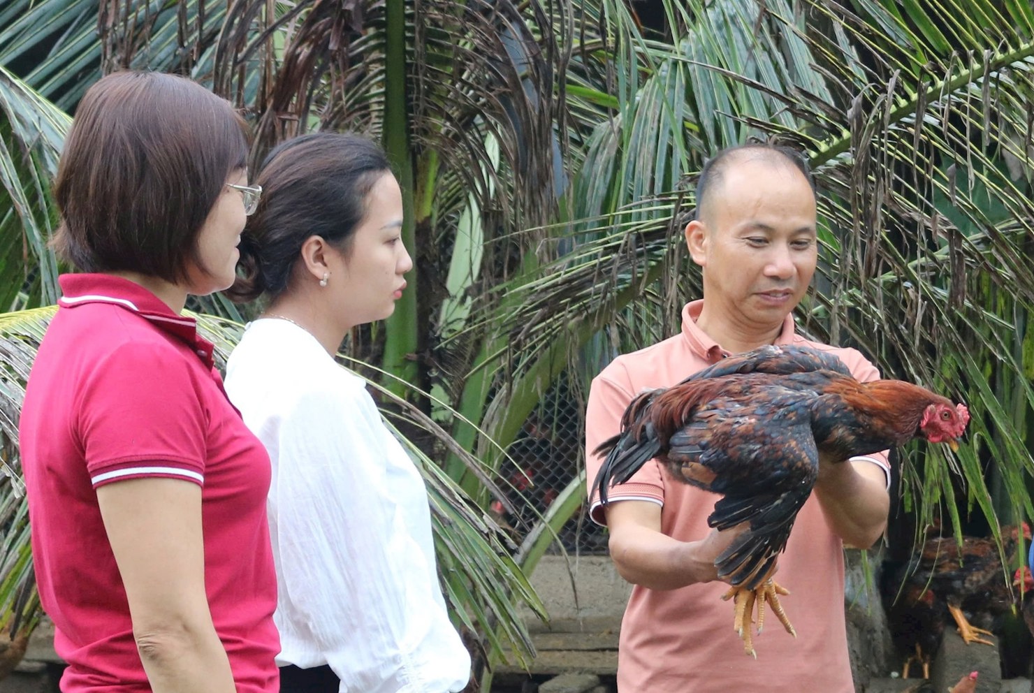 Các mô hình sinh kế đã từng bước giúp ổn định đời sống người dân, nhiều hộ vươn lên thoát nghèo.