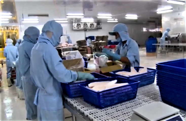 Thủy sản Đồng Nai đạt sản lượng gần 70.000 tấn, tăng hơn 4.200 tấn.