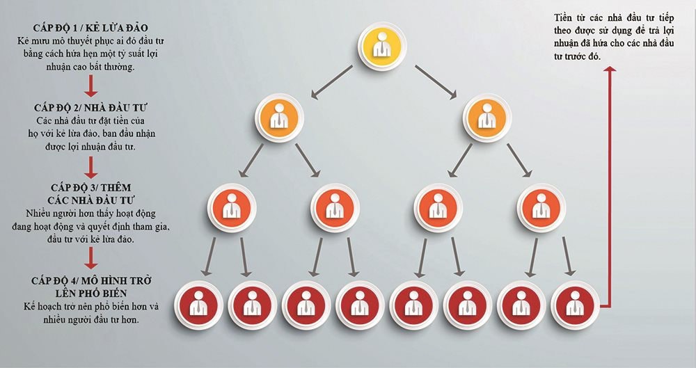 Cơ chế hoạt động của mô hình lừa đảo Ponzi.Nguồn: Dimond Kaplan & Rothstein, PA.