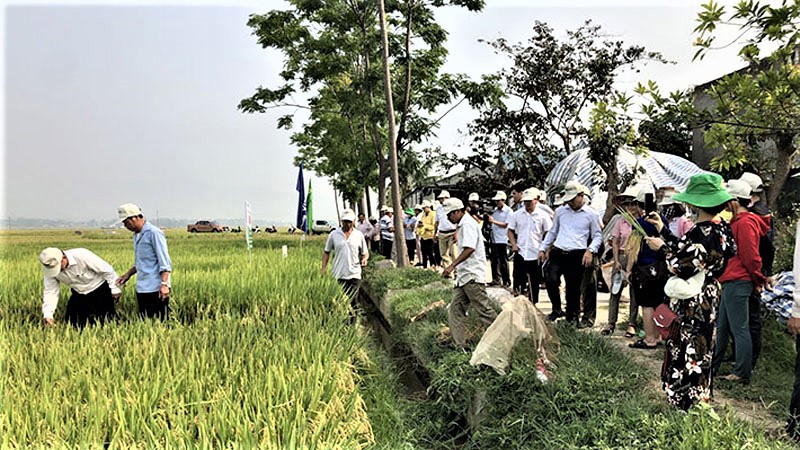 Ngành nông nghiệp tỉnh Điện Biên sẽ đẩy mạnh hiện đại hóa công tác dự báo, cảnh báo và giám sát rủi ro thiên tai