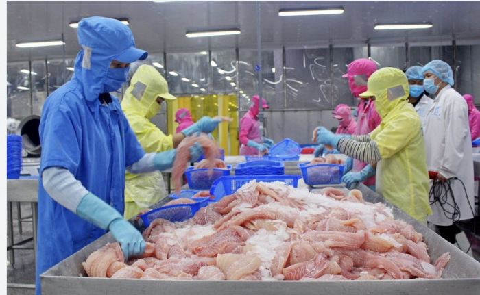 CPTPP hỗ trợ ngành hàng của Việt Nam thâm nhập sâu vào thị trường