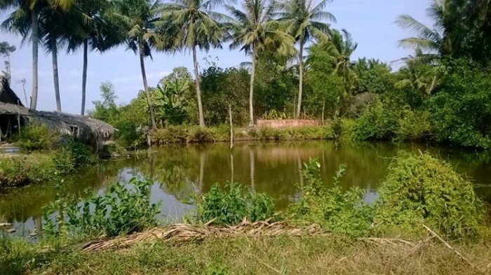 Cơ chế tài chính đất đai hướng tới minh bạch, thống nhất, 	 đảm bảo quyền lợi Nhà nước và người dân